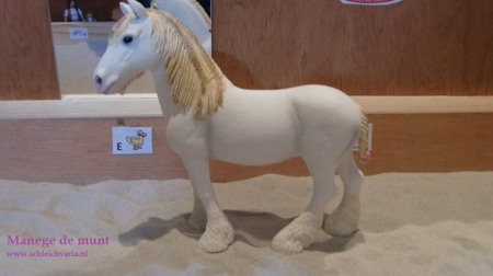 Dit is Cloffie. Het is een hele lieve meid, en ze is heel erg braaf. Maar zoals het hoort ook lekker snel! Ze is het grootste paard van de manege.